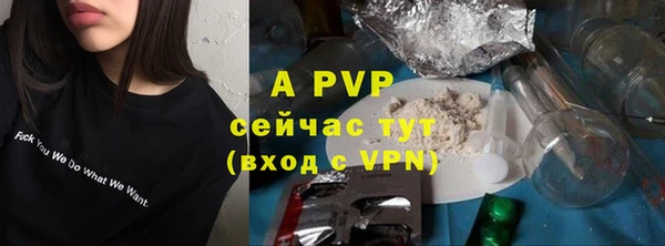 apvp Богданович