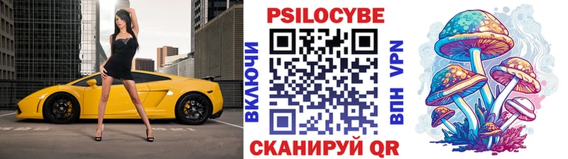 Галлюциногенные грибы ЛСД  Берёзовка 